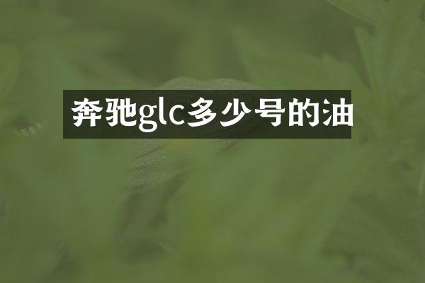 奔驰glc多少号的油