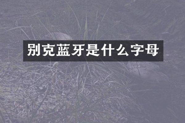 别克蓝牙是什么字母