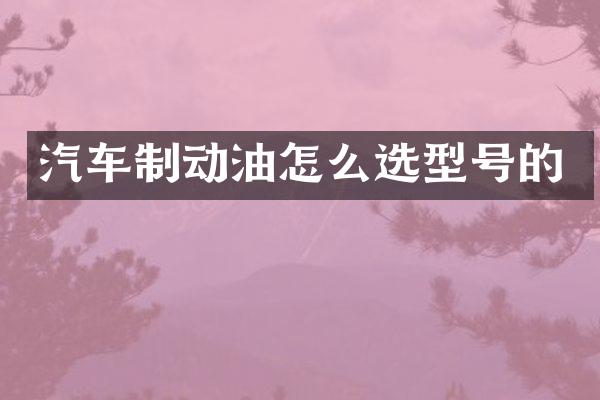 汽车制动油怎么选型号的