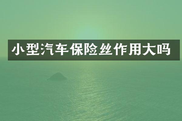 小型汽车保险丝作用大吗