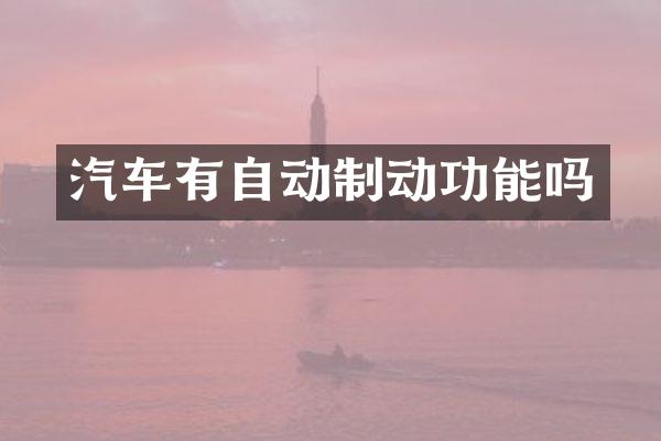 汽车有自动制动功能吗
