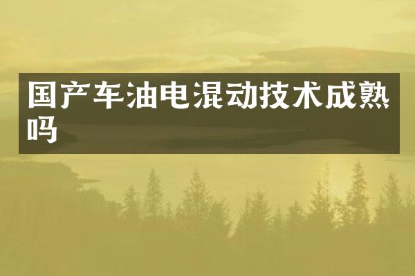 国产车油电混动技术成熟吗