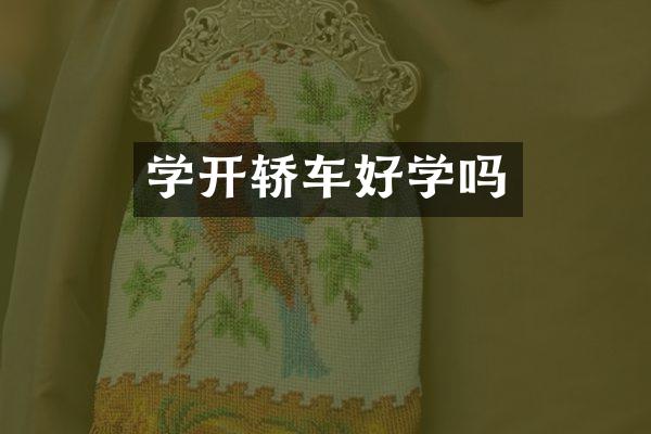 学开轿车好学吗