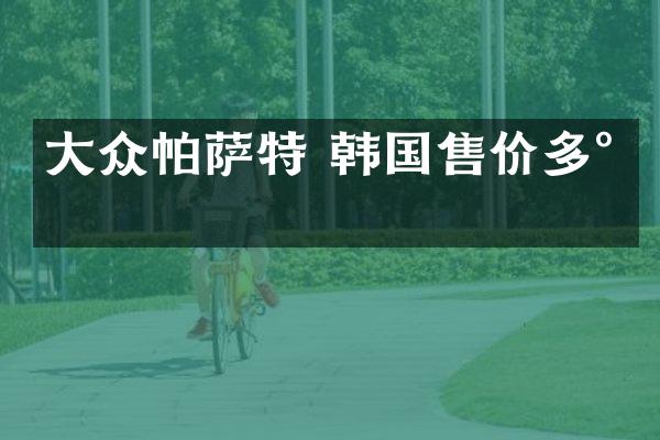 大众帕萨特 韩国售价多少