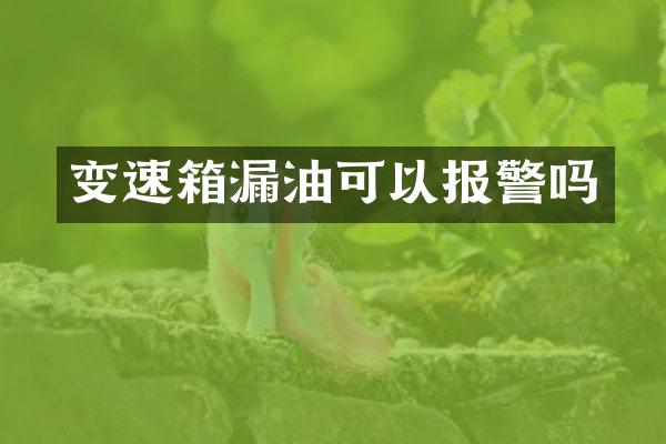 变速箱漏油可以报警吗