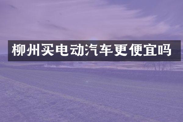 柳州买电动汽车更便宜吗