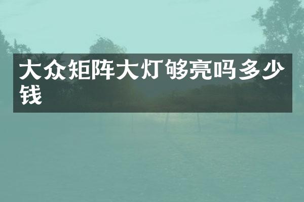 大众矩阵大灯够亮吗多少钱