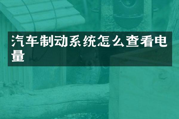汽车制动系统怎么查看电量
