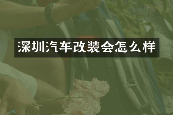 深圳汽车改装会怎么样