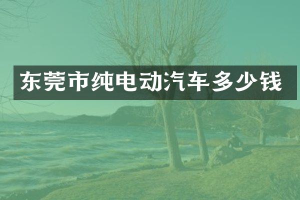 东莞市纯电动汽车多少钱