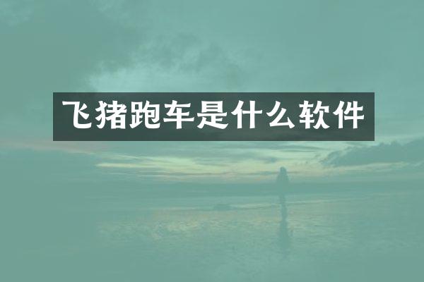 飞猪跑车是什么软件