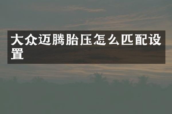 大众迈腾胎压怎么匹配设置