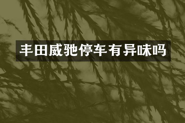 丰田威驰停车有异味吗
