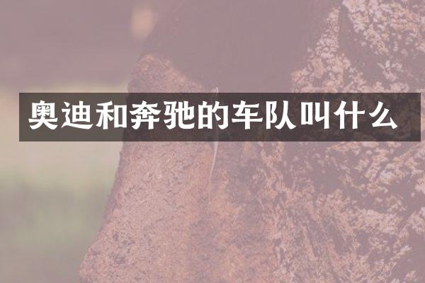奥迪和奔驰的车队叫什么