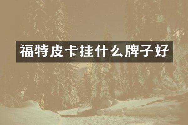 福特皮卡挂什么牌子好
