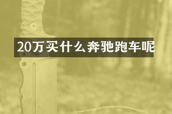 20万奔驰跑车呢