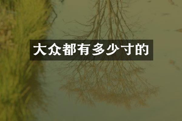 大众都有多少寸的