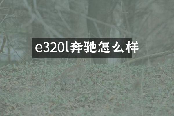 e320l奔驰怎么样