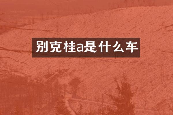 别克桂a是什么车