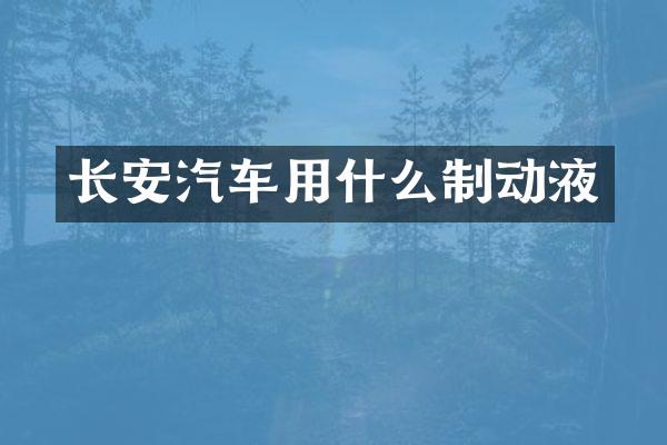 长安汽车用什么制动液