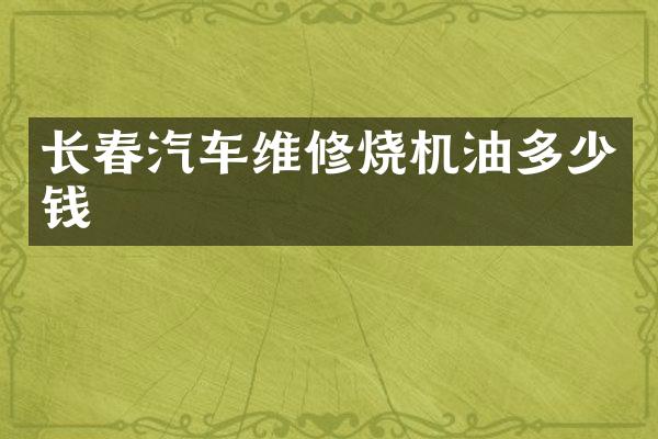 长春汽车维修烧机油多少钱