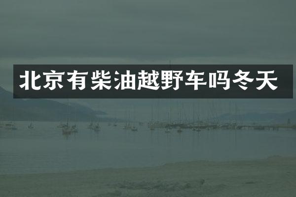 北京有柴油越野车吗冬天