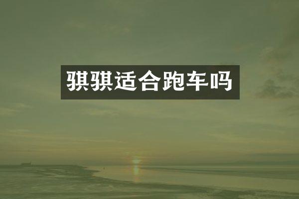 骐骐适合跑车吗