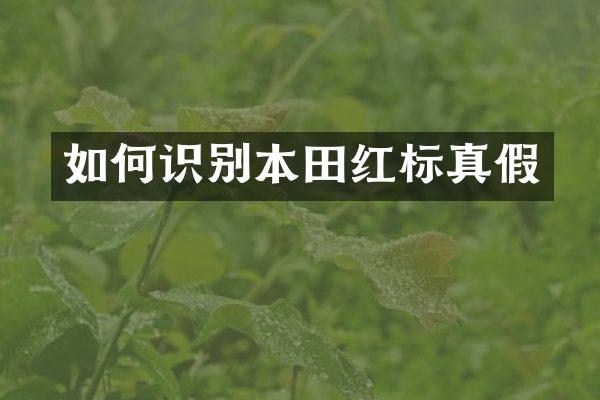 如何识别本田红标真假