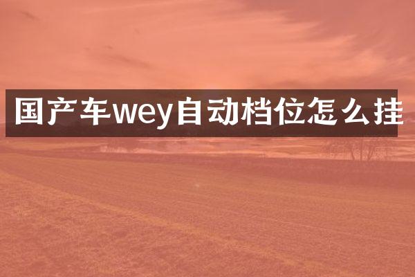 国产车wey自动档位怎么挂