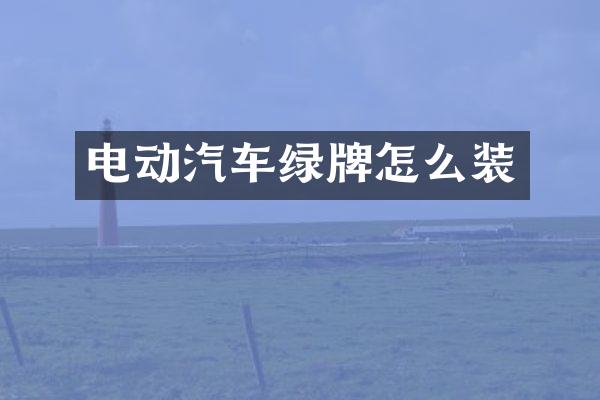 电动汽车绿牌怎么装