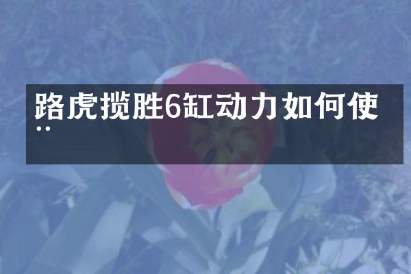 路虎揽胜6缸动力如何使用