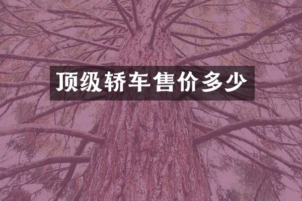 顶级轿车售价多少