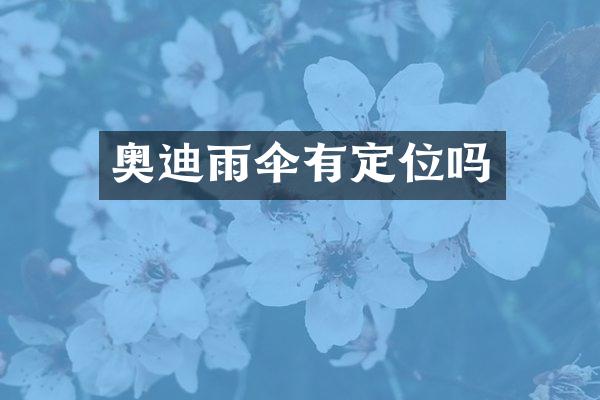 奥迪雨伞有定位吗