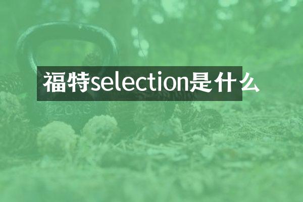 福特selection是什么