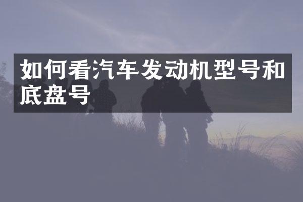 如何看汽车发动机型号和底盘号