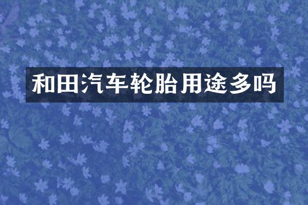 和田汽车轮胎用途多吗