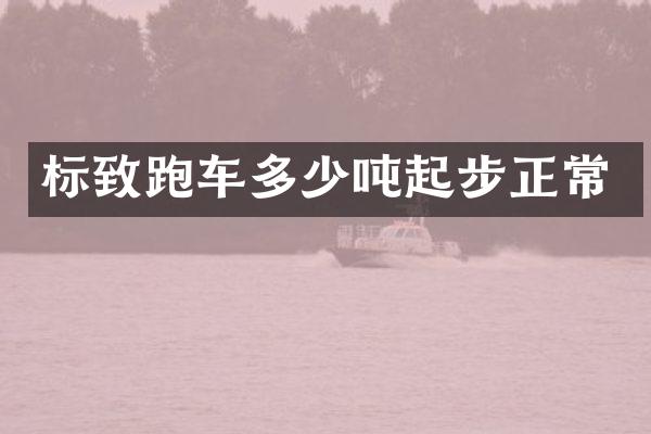 标致跑车多少吨起步正常