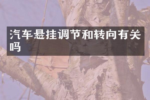汽车悬挂调节和转向有关吗