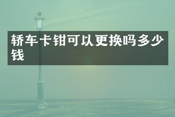 轿车卡钳可以更换吗多少钱