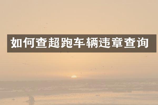 如何查超跑车辆违章查询