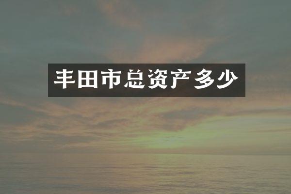 丰田市总资产多少