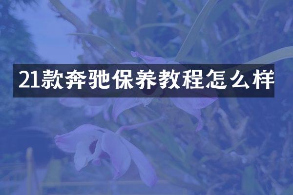 21款奔驰保养教程怎么样