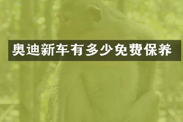 奥迪新车有多少免费保养
