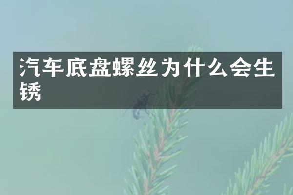 汽车底盘螺丝为什么会生锈