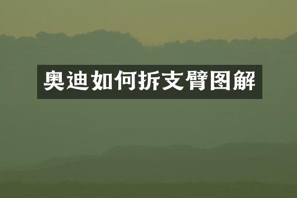 奥迪如何拆支臂图解