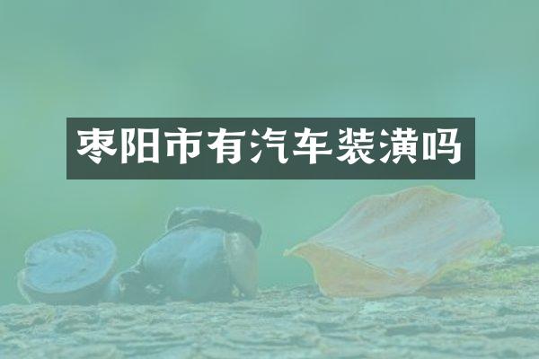 枣阳市有汽车装潢吗