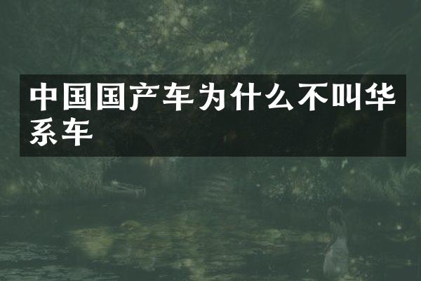 中国国产车为什么不叫华系车
