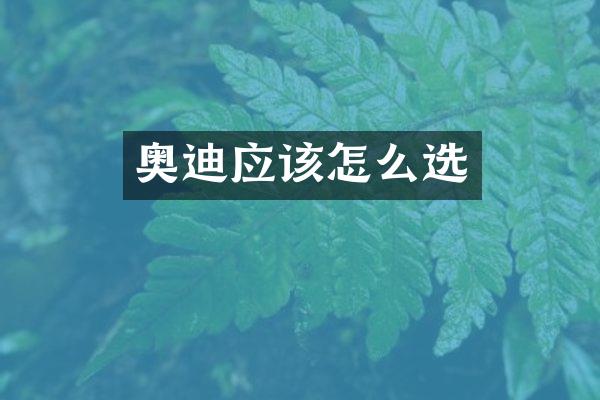奥迪应该怎么选
