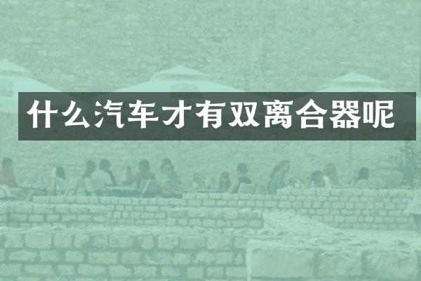 什么汽车才有双离合器呢