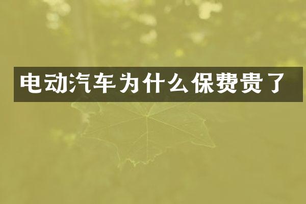 电动汽车为什么保费贵了